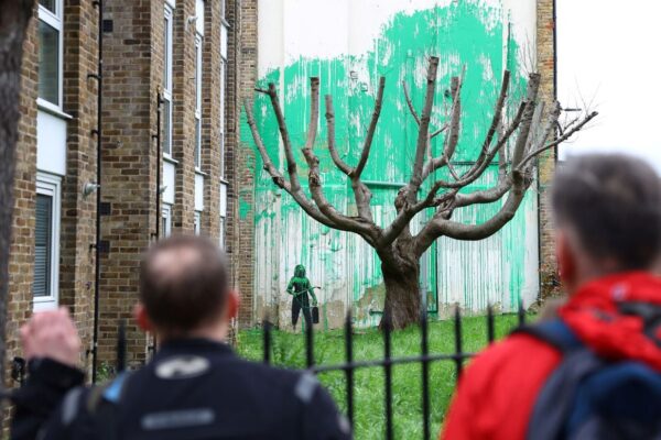 Banksy's new street painting opens the debate on the degradation of urban trees |  Climate and Environment