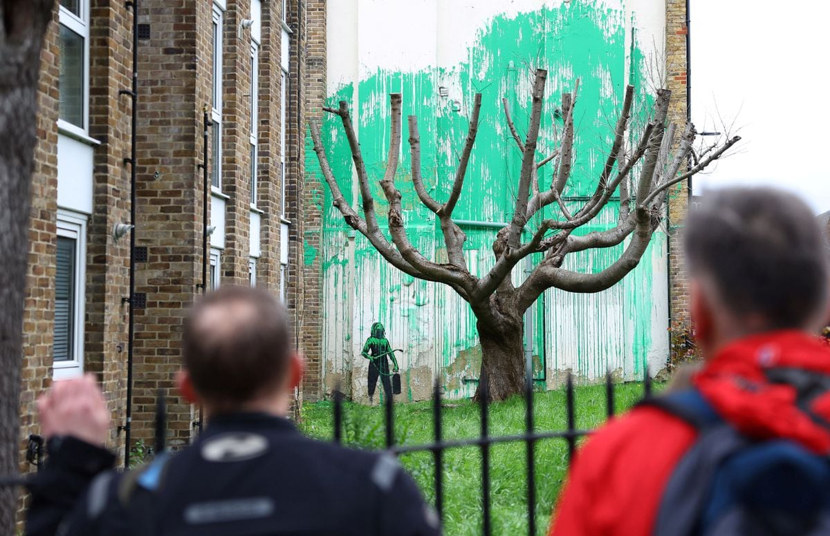 Banksy's new street painting opens the debate on the degradation of urban trees |  Climate and Environment