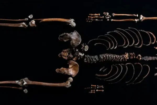 DNA solves the mystery of the 'well man', a corpse more than 800 years old